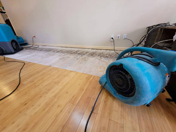 Professional Structural Drying technician working in Warsaw, VA